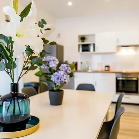 דירה Comodo Apartments - Free Parking זולינגן